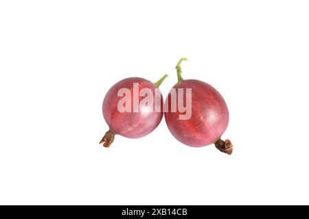 Stachelbeeren isolieren. Stapel grüner Stachelbeeren isoliert auf weißem Hintergrund mit Beschneidungspfad. Hochwertige Fotos Stockfoto