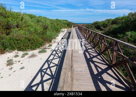 Holzbrücke über den Sandstrand, die zwei Seiten der Küste verbindet. Parc Natural de s'Albufera de Mallorca. Playa del Muro Stockfoto