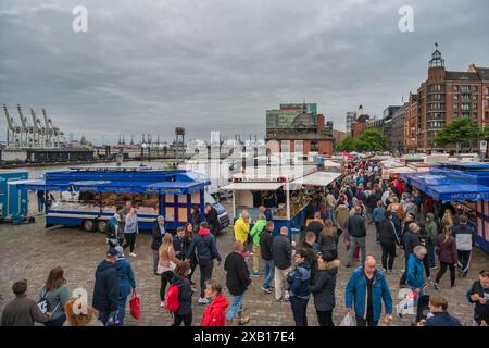 Hamburg, Deutschland - 17. Juli 2022: City Skyline am berühmten Hamburger Fischmarkt Stockfoto