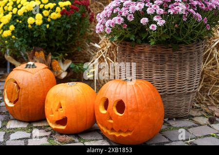 Drei geschnitzte Kürbisse mit Jack-o'-Laternen-Gesichtern auf einem Kopfsteinpflasterboden, umgeben von Körben mit bunten Chrysanthemen und Stroh, die schaffen Stockfoto