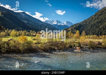 Geographie / Reise, Österreich, Tirol, Matrei in Osttirol, Blick von der Isel ins Virgental (Tal), ZUSATZRECHTE-CLEARANCE-INFO-NOT-AVAILABLE Stockfoto