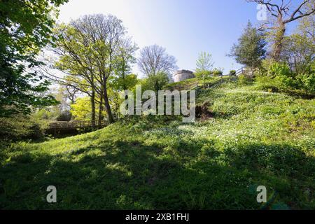 Aberlleiniog Castle, Beaumaris, Anglesey, North Wales, Vereinigtes Königreich/ Stockfoto