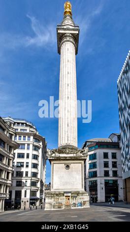 Monument für das große Feuer von London am Monument Square Stockfoto