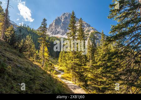 Geografie / Reise, Österreich, Tirol, Ehrwald, ADDITIONAL-RIGHTS-CLEARANCE-INFO-NOT-AVAILABLE Stockfoto