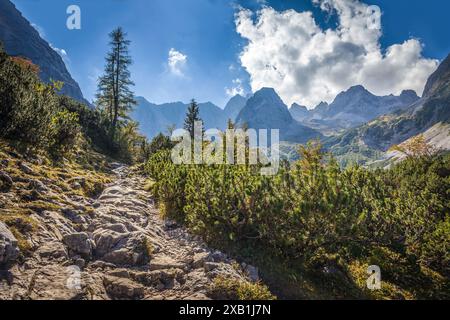 Geografie / Reise, Österreich, Tirol, Ehrwald, ADDITIONAL-RIGHTS-CLEARANCE-INFO-NOT-AVAILABLE Stockfoto
