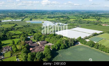 Panoramablick auf das Ackerland mit Blick nach Südwesten über den Weald of Kent von oberhalb des Dorfes Chart Sutton, Kent. Anfang Juni, Kent, Großbritannien. Stockfoto