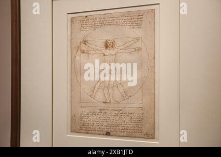 Louvre Museum, Paris. 24. Oktober 2019: Erste Öffnungsstunde der historischen Ausstellung Leonardo da Vinci, Original Vitruvian man berühmte Modulzeichnung Stockfoto
