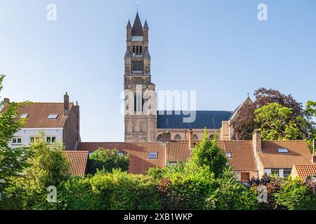 Der Glockenturm der St. Salvators Kathedrale in Brügge, Belgien Stockfoto