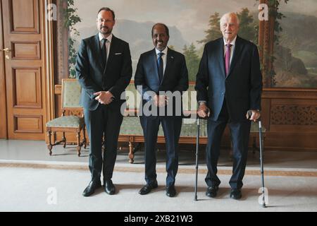 Oslo 20240610. König Harald und Kronprinz Haakon empfangen Somalias Präsidenten Hassan Scheich Mohamud im Palast. Foto: Stian Lysberg Solum / NTB / POOL Stockfoto