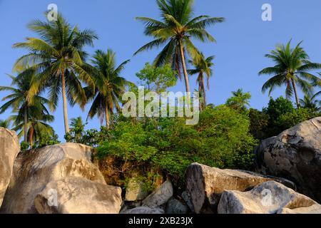 Indonesien Anambas-Inseln - Küste der Insel Telaga Stockfoto