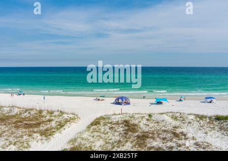 Dog Beach in Pensacola, Florida Stockfoto