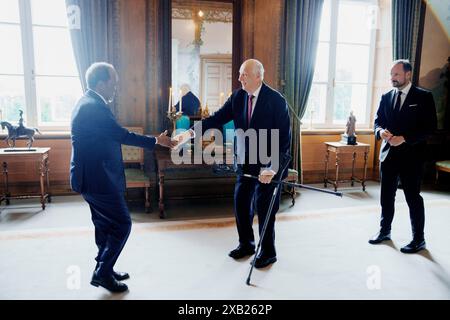 Oslo 20240610. König Harald und Kronprinz Haakon empfangen Somalias Präsidenten Hassan Scheich Mohamud im Palast. Foto: Stian Lysberg Solum / POOL / NTB Stockfoto