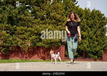 Hundeschlittenfahrer und Jack Russell-Hund genießen einen sonnigen Tag auf dem Bürgersteig. Die Frau führt ihren Hund an der Leine an der Straße. Die Frau mit ihrem Haustier hat Spaß am Morgen walki Stockfoto