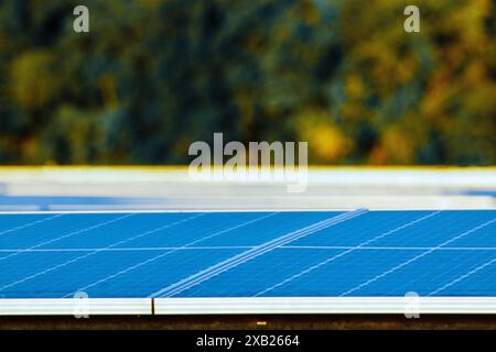 Solaranlage in der Nähe von Beaumont, Texas Stockfoto