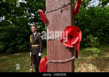 Lviv, Ukraine. Mai 2024. Allgemeine Ansicht des mit Stacheldraht und Mohn geschmückten Gedenkkreuzes auf dem Gelände des ehemaligen Militärlagers Stalag 328 für Kriegsgefangene während des Zweiten Weltkriegs. Stalag 328 ist ein vom deutschen Militärkommando geschaffenes Lager für sowjetische Kriegsgefangene (später ergänzt durch Kriegsgefangene und Gefangene aus anderen Ländern), die von 1941 bis 1944 in Lemberg existierten. Der Ort des Todes von etwa 140.000 Kriegsgefangenen. Jetzt gibt es nur noch ein Gedenkkreuz an der Stelle des Lagers. Quelle: SOPA Images Limited/Alamy Live News Stockfoto