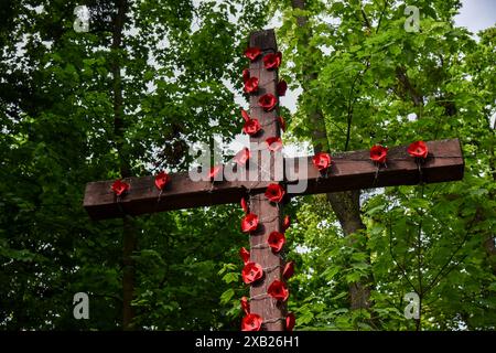 Lviv, Ukraine. Mai 2024. Allgemeine Ansicht des mit Stacheldraht und Mohn geschmückten Gedenkkreuzes auf dem Gelände des ehemaligen Militärlagers Stalag 328 für Kriegsgefangene während des Zweiten Weltkriegs. Stalag 328 ist ein vom deutschen Militärkommando geschaffenes Lager für sowjetische Kriegsgefangene (später ergänzt durch Kriegsgefangene und Gefangene aus anderen Ländern), die von 1941 bis 1944 in Lemberg existierten. Der Ort des Todes von etwa 140.000 Kriegsgefangenen. Jetzt gibt es nur noch ein Gedenkkreuz an der Stelle des Lagers. Quelle: SOPA Images Limited/Alamy Live News Stockfoto