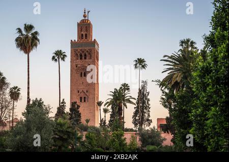 Das Symbol von Marrakesch Marokko, Moschee in der Nähe des berühmten Platzes Jemma El Fna, Koutoubia, große Moschee im Almohaden-Stil aus dem 12. Jahrhundert Stockfoto