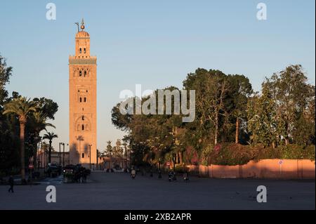 Das Symbol von Marrakesch Marokko, Moschee in der Nähe des berühmten Platzes Jemma El Fna, Koutoubia, große Moschee im Almohaden-Stil aus dem 12. Jahrhundert Stockfoto