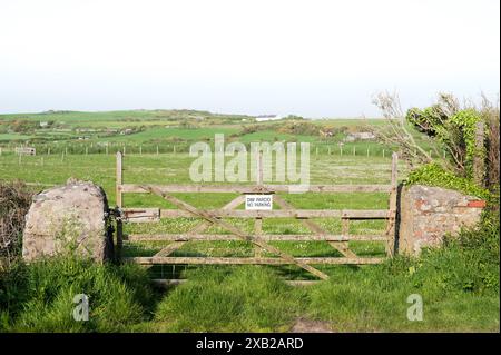 Ein hölzernes Tor, das Zugang zu einem ländlichen Feld in Wales ermöglicht. Es gibt ein Schild mit der Aufschrift "kein Parkplatz" oder "Dim Parcio" auf Walisisch. Stockfoto