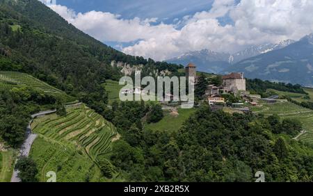 Dorf Tirol, Südtirol, Italien 07. Juni 2024: Hier der Blick, Drohne von Dorf Tirol, Tirolo oberhalb von Meran auf das bekannte Schloss Tirol, Castel Tirolo,Stammburg der Grafen von Tirol und die Wiege der Grafschaft Tirol, Südtiroler Landesmuseum für Kultur- und Landesgeschichte , Meraner Land, Burggrafenamt, wandern, spazieren, Tourismus, Hotspot, Urlaubsdomizil *** Dorf Tirol, Südtirol, Italien 07 Juni 2024 hier ist die Aussicht, Drohne von Dorf Tirol, Tirol oberhalb von Meran auf das berühmte Tiroler Schloss, Schloss Tirol, Ahnenschloss der Grafen von Tirol und die Wiege der Grafschaft Tirol, Sou Stockfoto