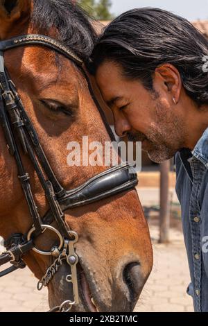 Ein Nahfoto fängt einen ergreifenden Moment zwischen einem Mann und einem Pferd ein und zeigt tiefe Zuneigung, während der Mann sanft seine Stirn gegen das Pferd drückt Stockfoto