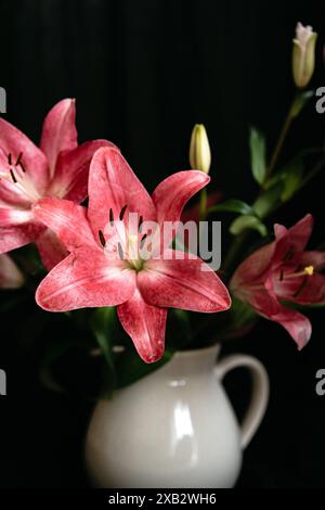 Leuchtend rosa Lilien in einem klassischen weißen Pitcher vor dunklem Hintergrund. Stockfoto