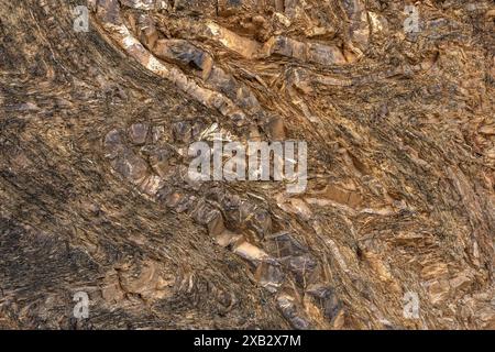 Nahaufnahme einer geschichteten Felsoberfläche mit detaillierter Textur im Valle de Liebana, Kantabrien, Spanien. Stockfoto