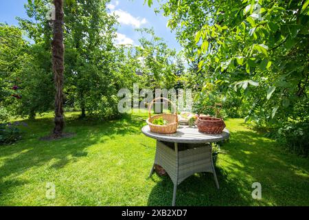 Eine ruhige Gartenszene auf dem Bauernhof mit einem runden Korbtisch mit frischen Produkten in Körben, üppigem Grün und blühenden Blumen. Stockfoto