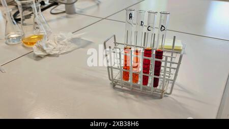 Rack mit Reagenzgläsern gefüllt mit einer farbigen Substanz. Illustration eines Chemielabors in der Schule, in einem Forschungsinstitut oder in der medizinischen Industrie. Stockfoto