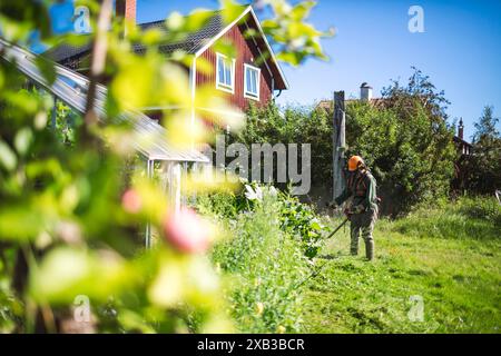 Frau, die während des sonnigen Tages im Garten Gras mäht Stockfoto