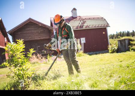 Frau, die Gras im Hof mäht, an sonnigem Tag Stockfoto