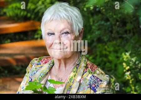 Dame Judi Dench, berühmte englische Schauspielerin, lächelt und schaut in die Kamera aus nächster Nähe, Chelsea Flower Show 2024 Stockfoto