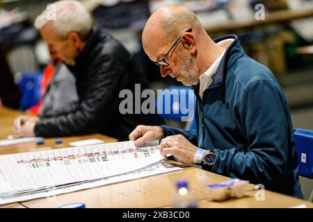 Die Stimmen werden bei der Royal Dublin Society für die Europawahlen gezählt. Bilddatum: Montag, 10. Juni 2024. Stockfoto