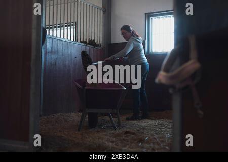 Seitenansicht der Frau in voller Länge, die den Stall mit Rechen reinigt Stockfoto