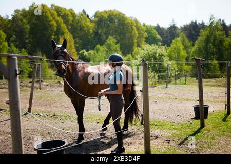 Seitenansicht der Jockey-Frau in voller Länge mit braunem Pferd auf der Ranch an sonnigem Tag Stockfoto