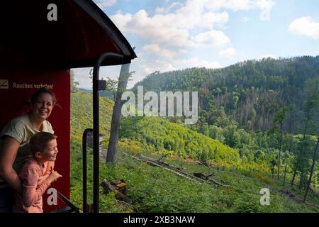 Auf dem offenen Ende eines Wagens auf der Harzbahn, Deutschland Stockfoto