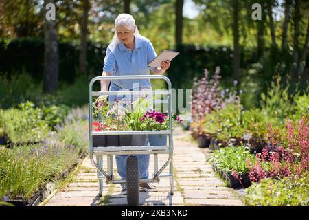 Pensionierte Seniorin Arbeitet Teilzeitjob Im Gartencenter Und Überprüft Mit Einem Digitalen Tablet Anlagen Auf Einem Trolley Stockfoto