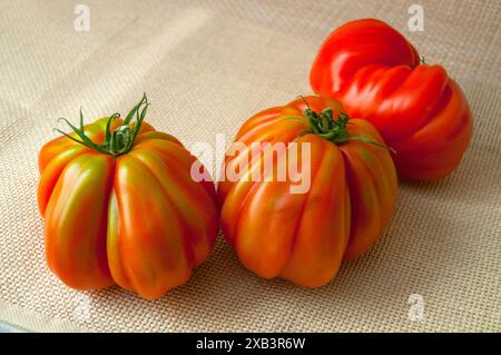 Drei raf Tomaten. Schließen Sie die Ansicht. Stockfoto