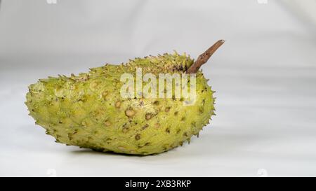 Spiky Green Soursop Frucht isoliert auf weiß (klar, prägnant und beschreibend) Stockfoto