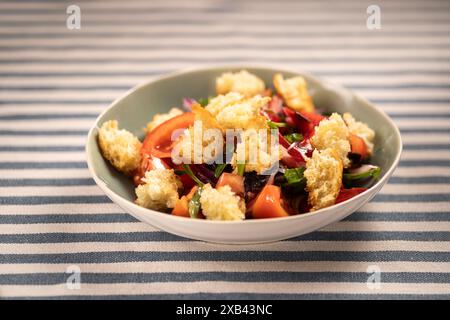 Traditioneller italienischer Panzanella-Salat mit Gemüse, roten Zwiebeln und gebratenen Croutons auf einem Teller auf gestreiftem Hintergrund Stockfoto