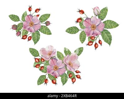 Rosa Wildrosen mit Knospen und Hagebuttenbeeren. Rosa canina Pflanzenzweig in Aquarell. Blumenstrauß Clipart Set für botanisches Design, Grußkarte, Einladung, Etikett, Parfüm, Aufkleber Stockfoto