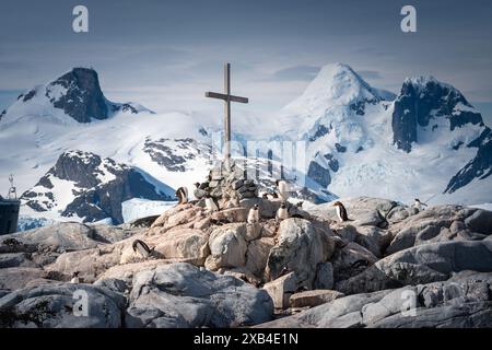 Überqueren Sie Petermann Island, Antarktis. Stockfoto