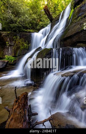 Cedar Rock Falls - Pisgah National Forest, in der Nähe von Brevard, North Carolina, USA Stockfoto