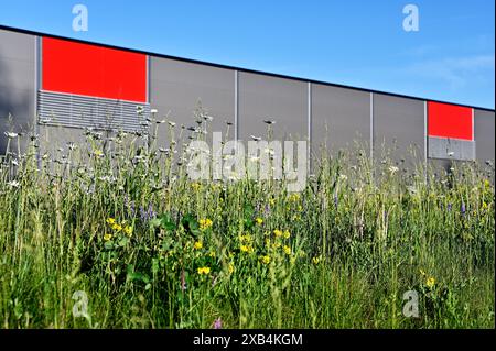 Gras und blühende Wildblumen vor dem Hintergrund einer grauen Lagergebäudewand mit roten Rechtecken im Sommer in Finnland Stockfoto