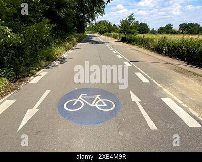 Fahrradweg mit in der Mitte der Fahrspurmarkierung auf Fahrspurpfeilen in beide Richtungen und blauer runder Markierung mit weißem Stilmuster Stockfoto