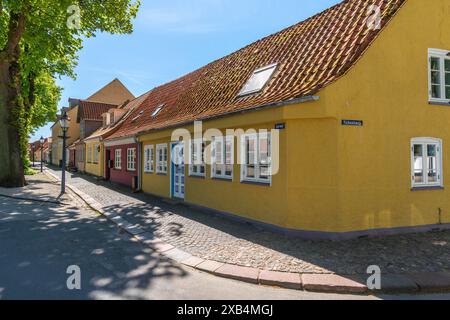 Bogense am Kattegat, Altstadt, Torvet Straße mit bunten Traufhäusern, Bäumen, Laterne, Fußweg, Fyn, Fünen, Ostsee, Dänemark Stockfoto