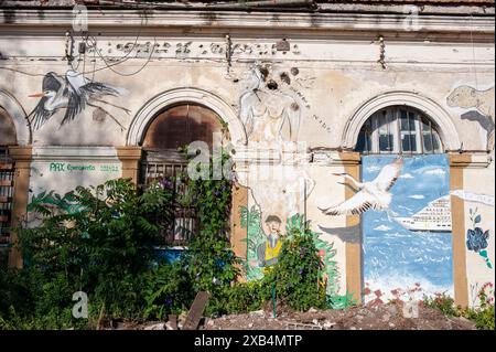 17. Mai 2024: Rom, Italien: Casa della Pace. © Andrea Sabbadini Stockfoto