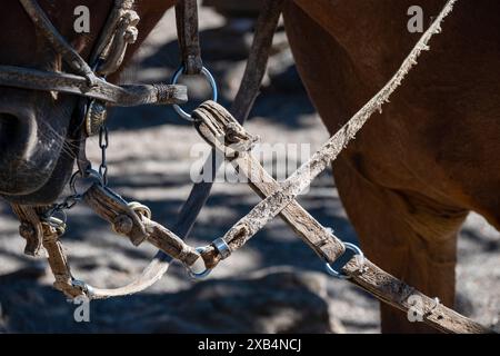 Von den Guachos handgefertigte Ausrüstung zum Reiten von Pferden in Südamerika, aus Leder und Metall Stockfoto