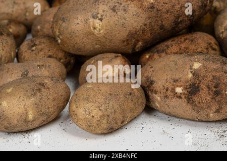 Horizontale Nahaufnahme von frisch geernteten Kartoffeln aus einem Hausgarten. Stockfoto