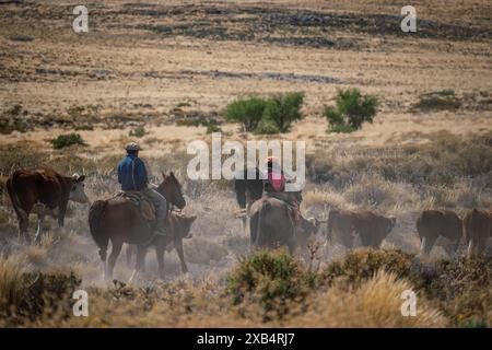 Gauchos zu Pferd in Patagonien, Argentinien Stockfoto
